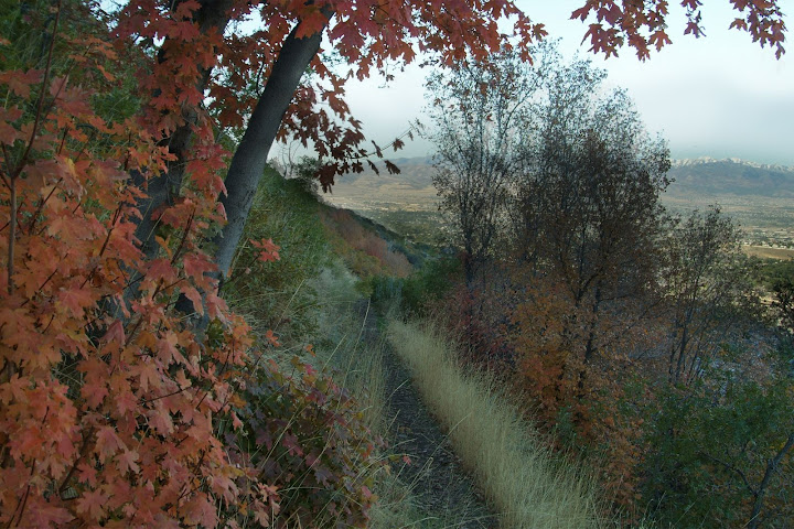 We need pictures of this section of trail. Email them to bonnevilleshorelinetrail@gmail.com.